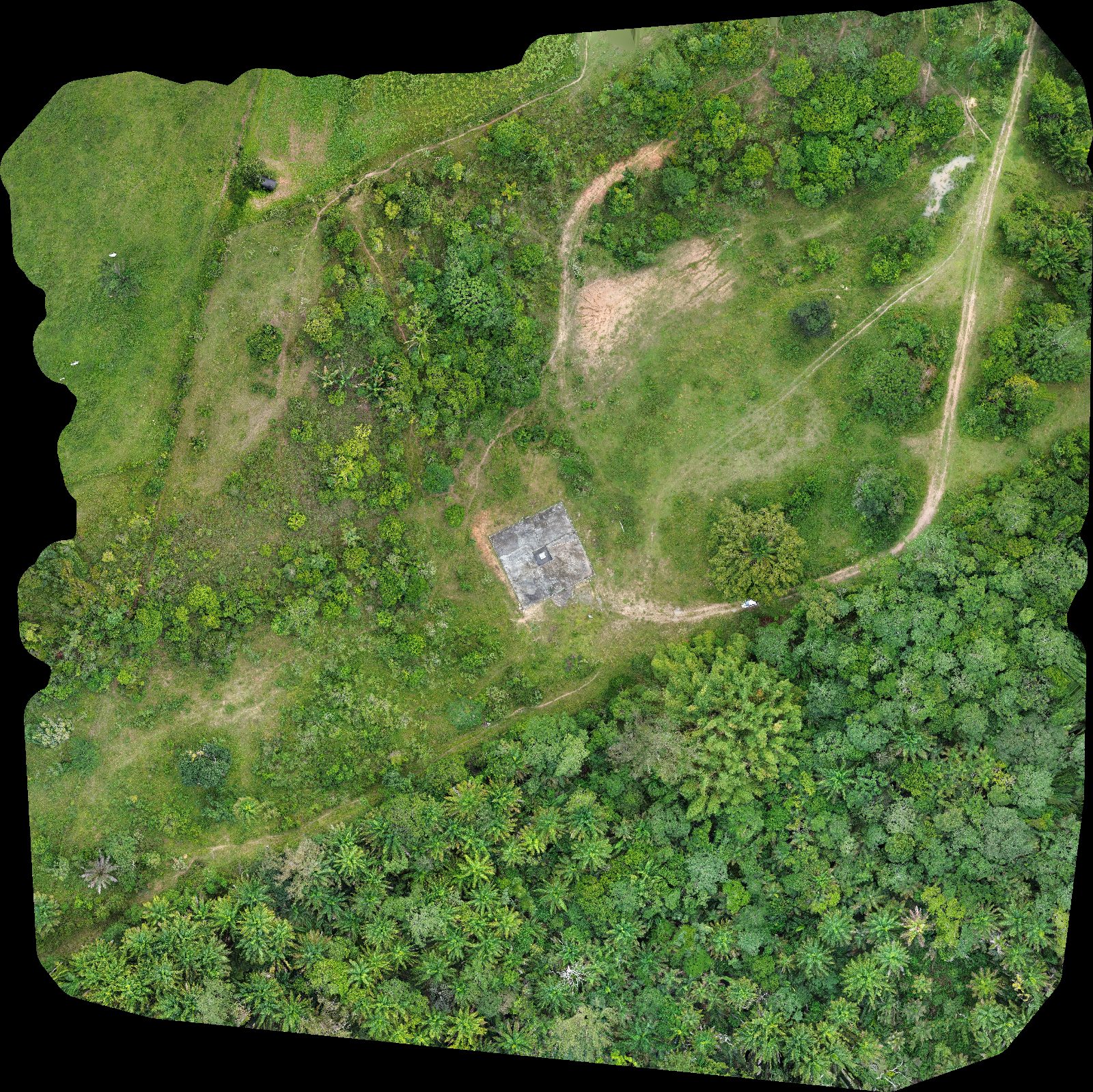 Ortomosaico real da Fazenda Ilha Bela, com vegetação, caminhos e edificações